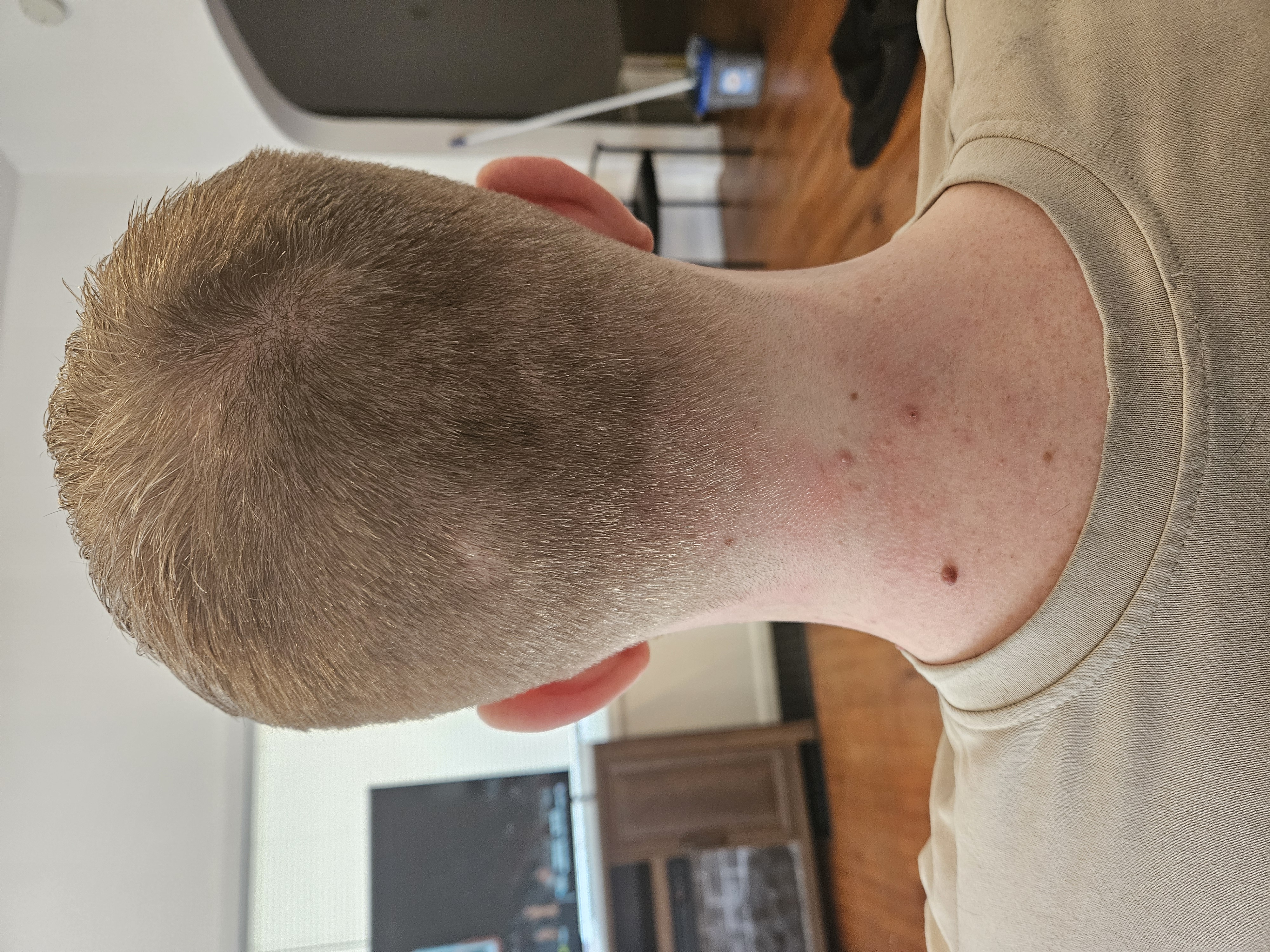 Photo 19
